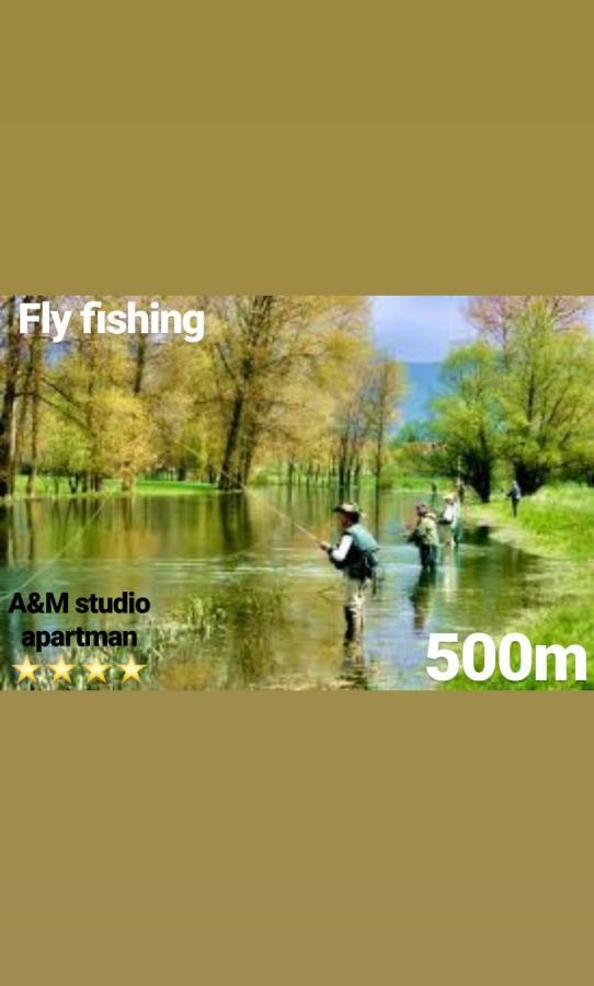 A&m